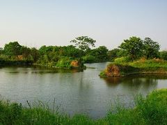 -西溪国家湿地公园