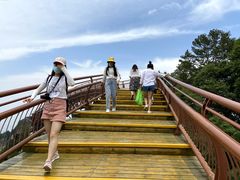 -少华山国家森林公园