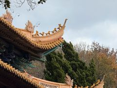 -普陀山风景名胜区-法雨禅寺
