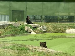 -上海野生动物园