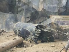 -武汉动物园