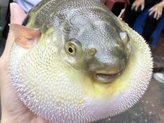 -永安鱼庄·镇江菜(东吴路店)