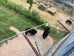 -无锡动物园·太湖欢乐园