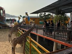 -西霞口神雕山野生动物世界