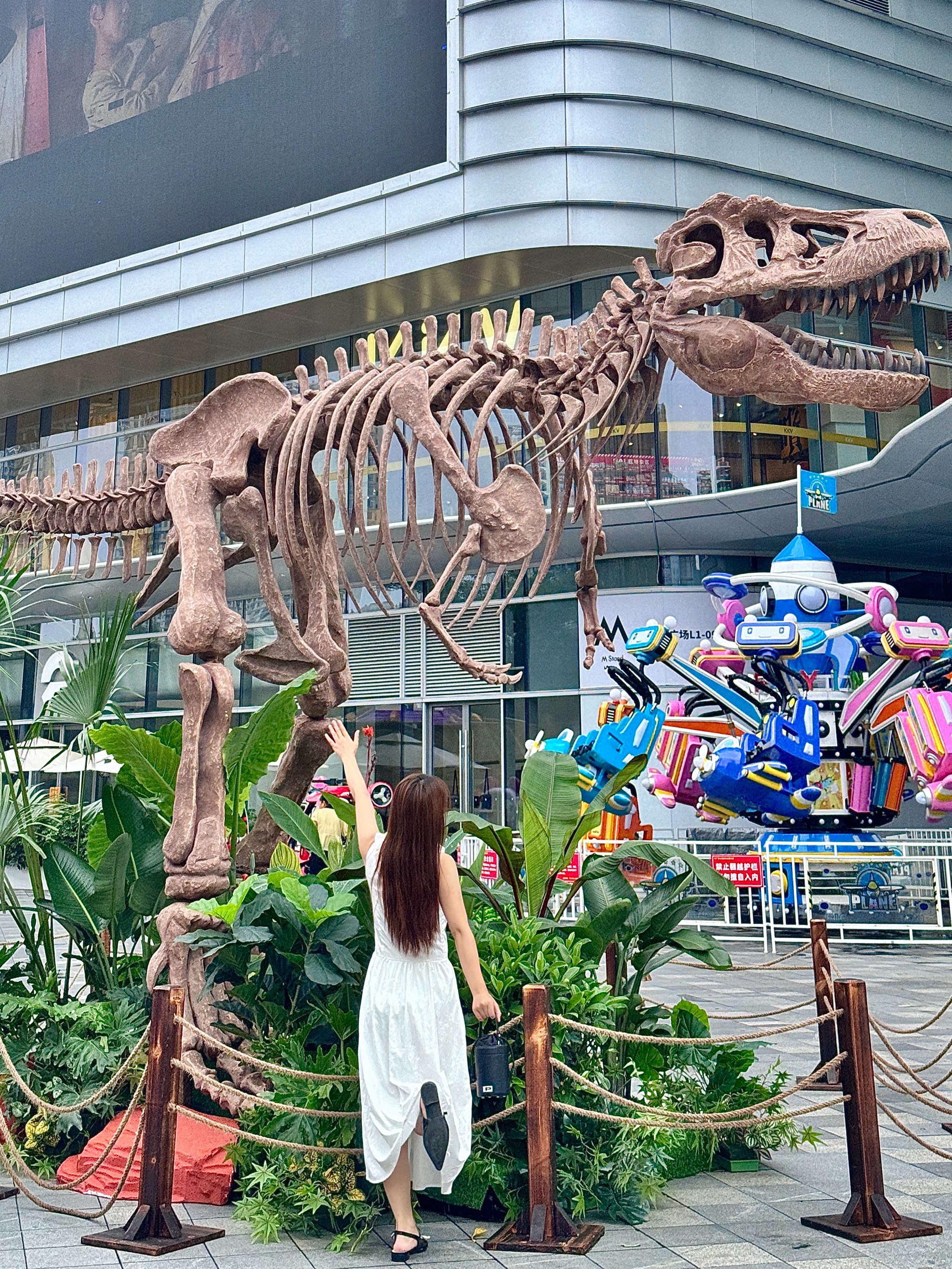 成都熊猫基地恐龙展图片