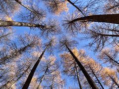 -硗碛藏寨·神木垒景区