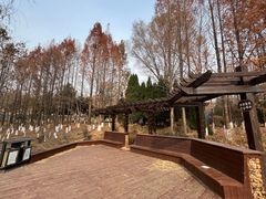 -前关湿地公园