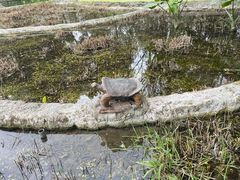 -成都市活水公园