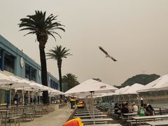 -悉尼鱼市场