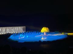 -鼎盛王朝康熙大典实景演出