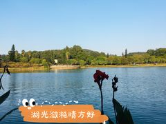 -南国桃园旅游度假区