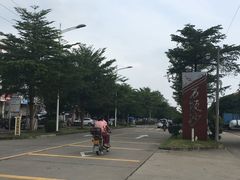 -大湾区中央湿地公园