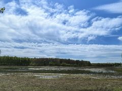 -东郊湿地公园