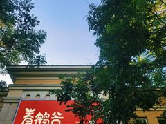 -青鹤谷(苏州店)