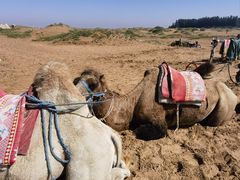 -银川河东国际机场