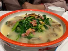 上汤鸡毛菜-上海老饭店(北京分店)