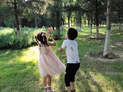 -北京麋鹿生态实验中心