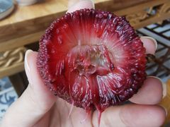 -五里多农博广场