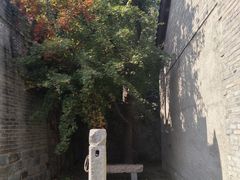 -爱新觉罗皇家博物院