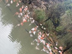 -宁波野生动物园