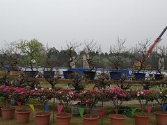 -秀丽东方