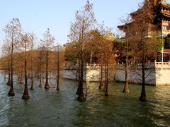 -顺峰山公园