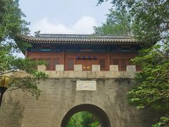 -云岗森林公园