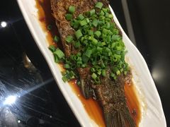 -驻海渔市(置信店)