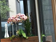 -台北北投丽禧温泉酒店