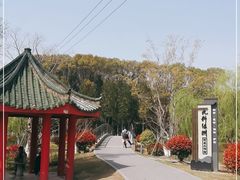 -九科绿洲