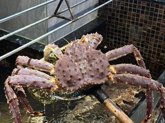 -海鲜e族(马王堆店)