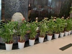 -拾贝海鲜馆（海鲜粤菜）(花果园店)