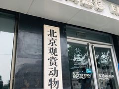 -北京观赏动物医院·24小时大型综合·猫专科·异宠专科