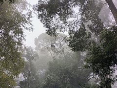 -凤栖山