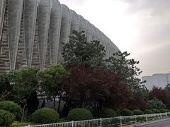 -奥体中心游泳馆