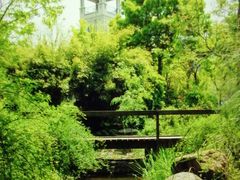 -新江湾城公园