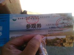 -广东惠东海龟国家级自然保护区