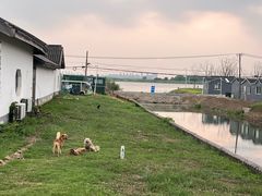 -小陆莲花蟹园农家乐(莲花岛店)