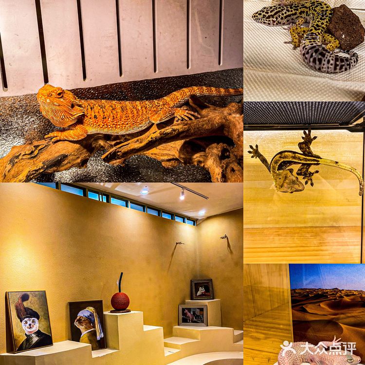 国庆必逛攻略|邀你来逛天府红商场