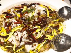 -太二酸菜鱼(沈阳万象城店)
