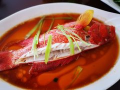 清蒸东星斑-毛里求斯小四川餐厅总店