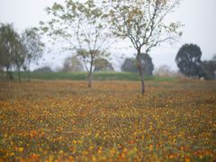 -良渚古城遗址公园