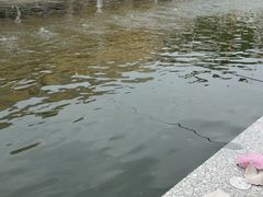 -DGE季风钓虾营地·团建·聚会