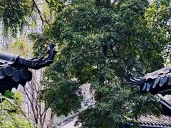 -大妙火锅·非物质文化遗产(东湖公园店)