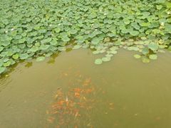 -廊坊文化艺术中心