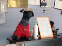 -北京赛佳动物医院