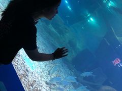 -重庆欢乐海底世界