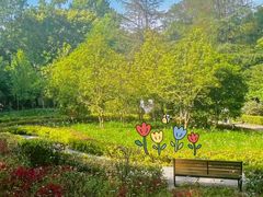 -上海佘山国家森林公园天马山园