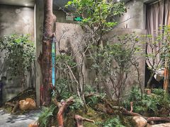 -森SPA·泰式按摩·精油Massage(宝安中心店)