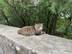 -鬼笑石后山停车场